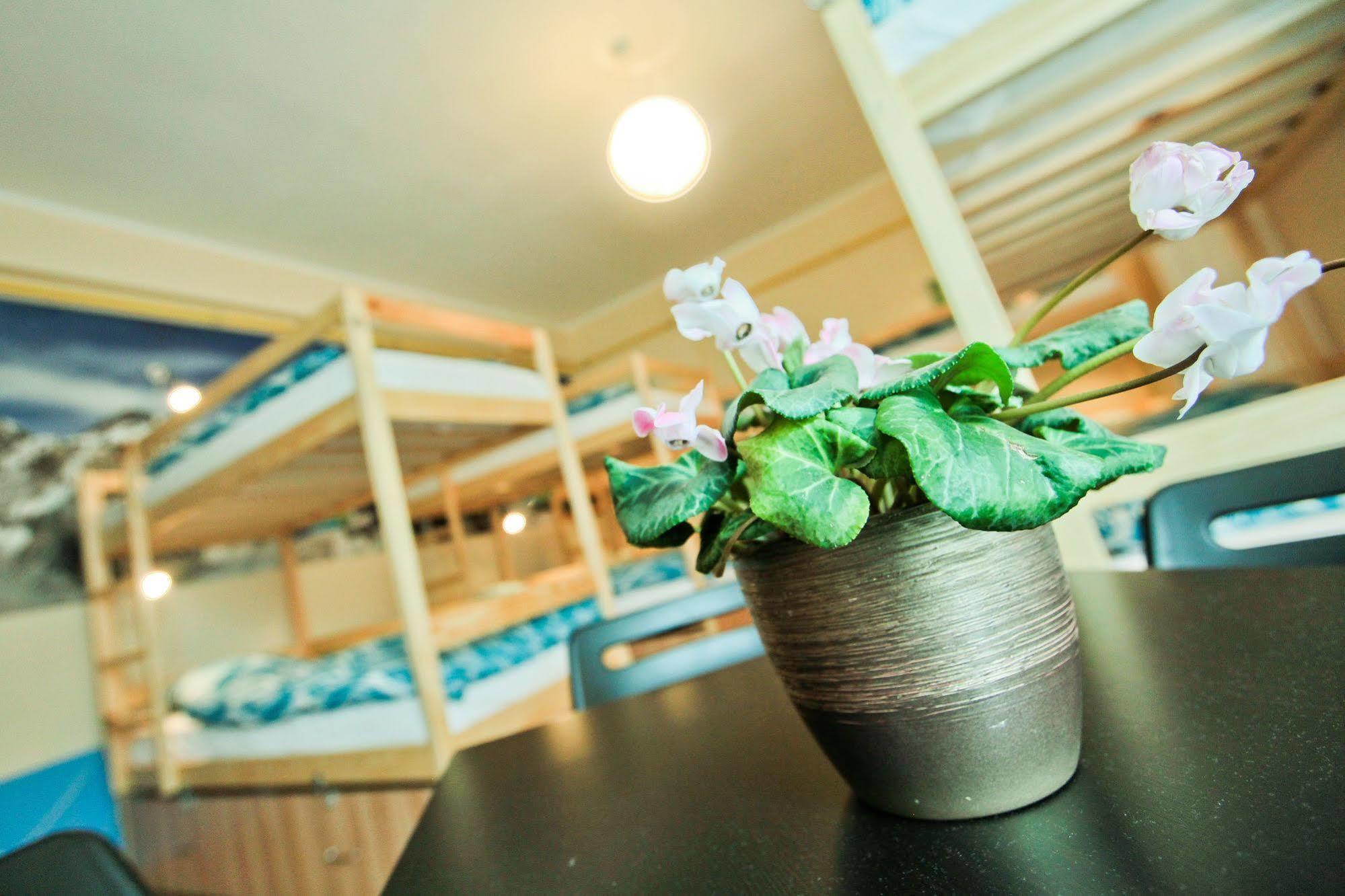Poco Loco Hostel พอซนาน ภายนอก รูปภาพ